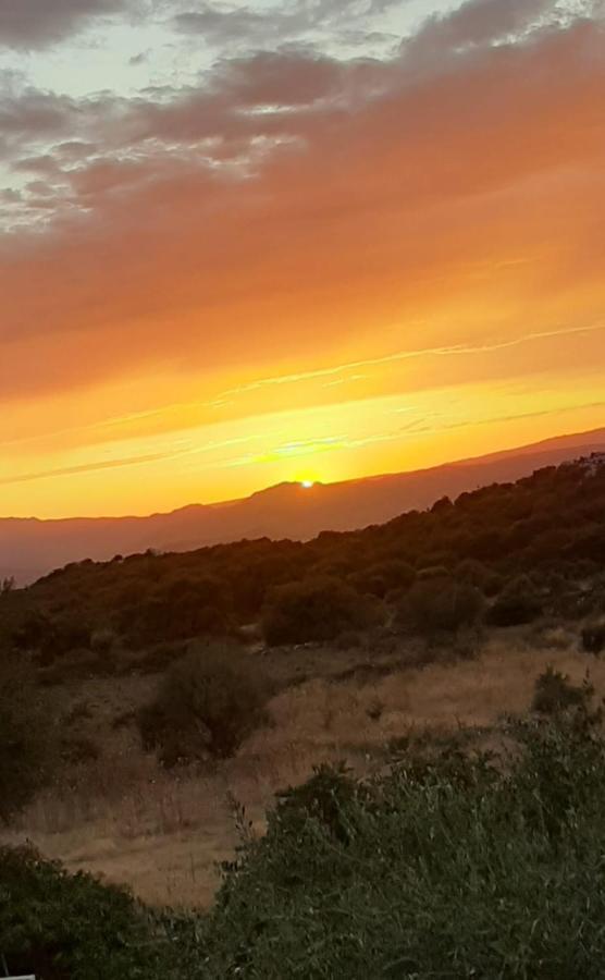 B&B Valverde Dorgali Buitenkant foto