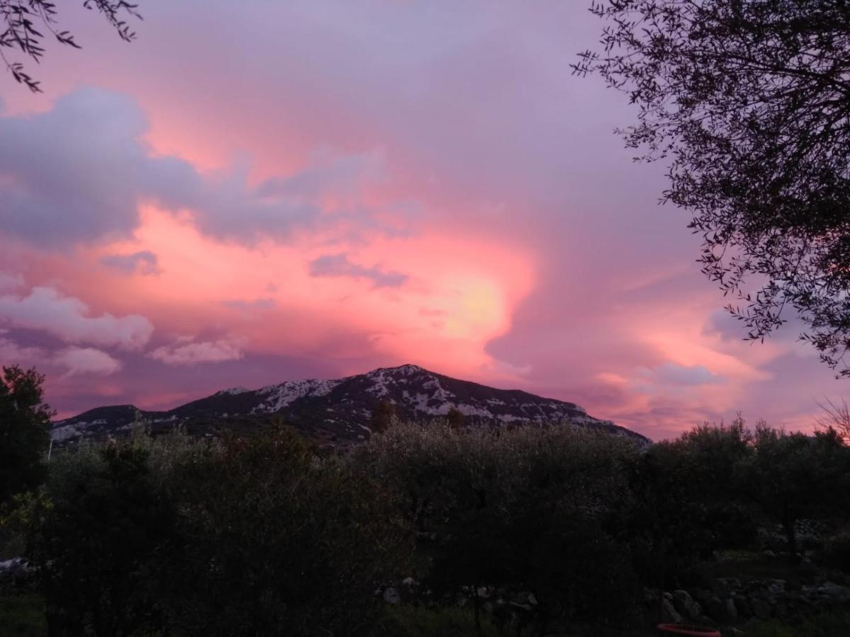 B&B Valverde Dorgali Buitenkant foto