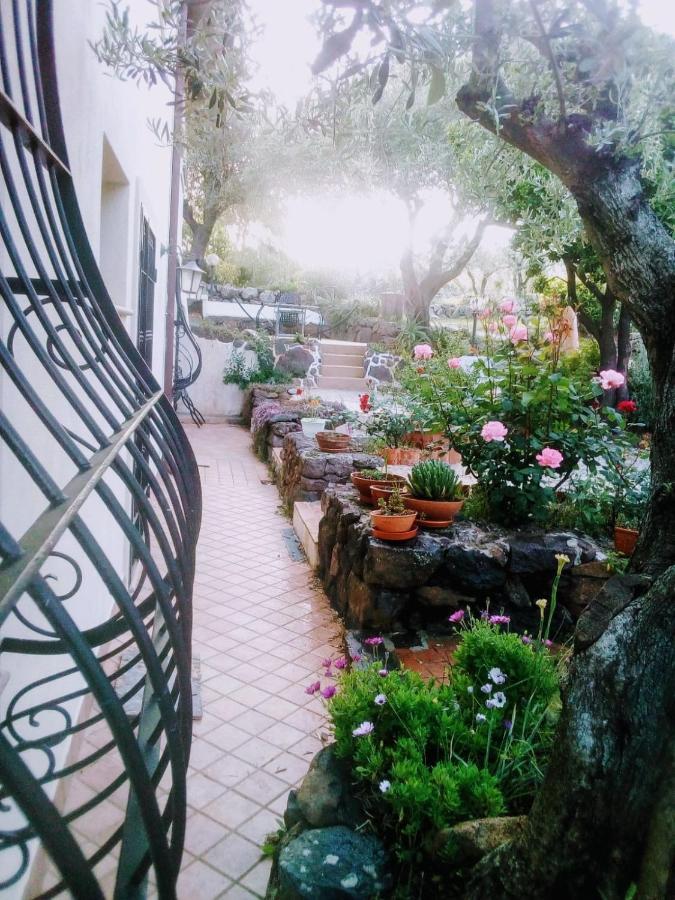 B&B Valverde Dorgali Buitenkant foto